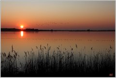 Images & Photographies
