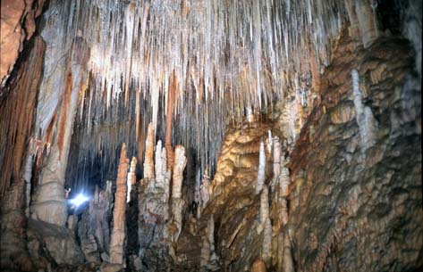 Fistuleuses, stalagmites et stalactites